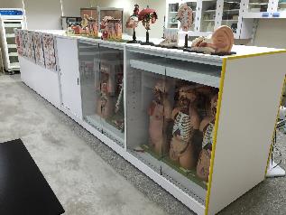 將開啟一新視窗_開啟圖片檔(jpg)_木製實驗桌2